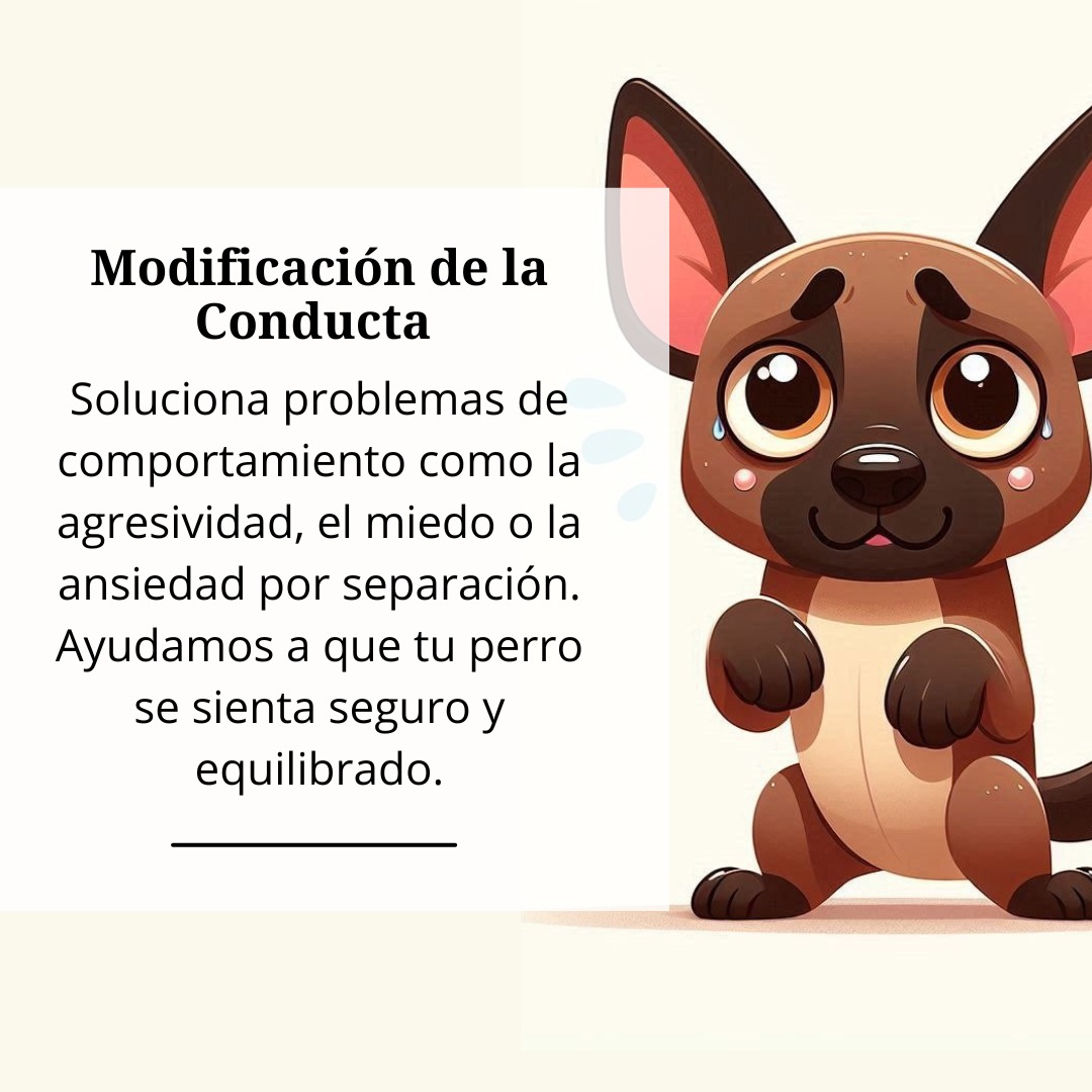 Modificación de la Conducta